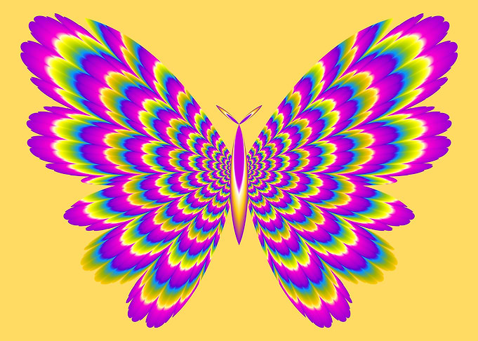 Colorful rainbow butterfly