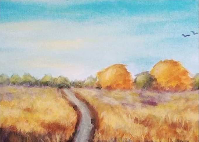 Fields of gold