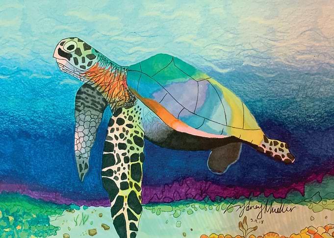 Sea Turtle