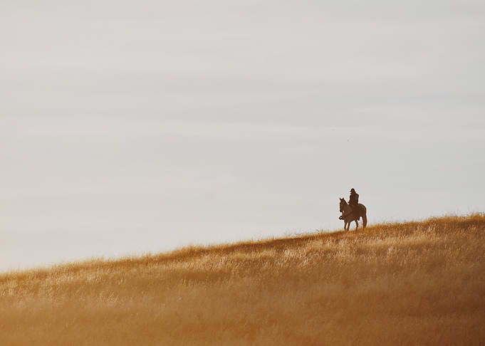 Cowboy I