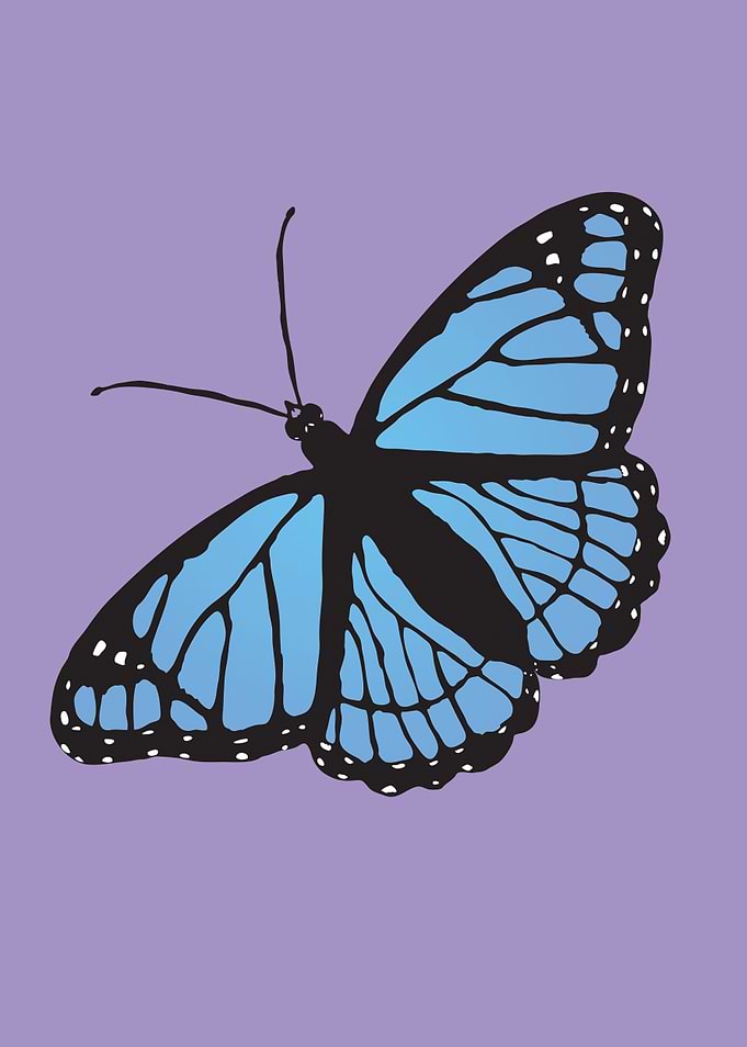 Blue butterfly