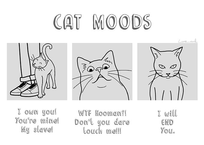 Cat Moods