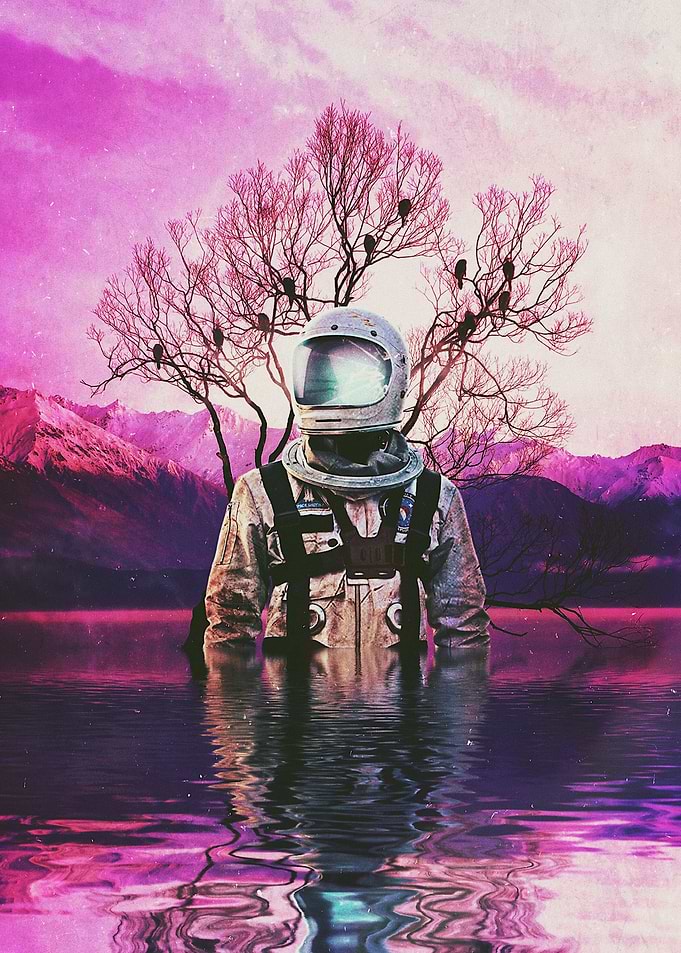 Lavender Marshes