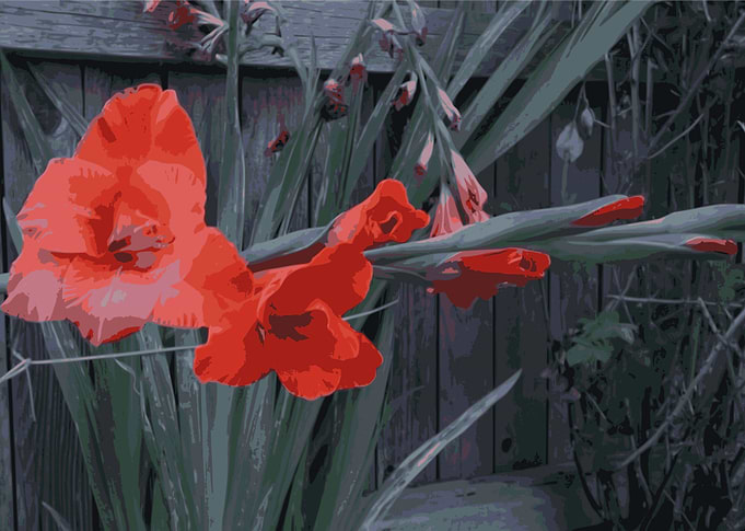 Orange Flower