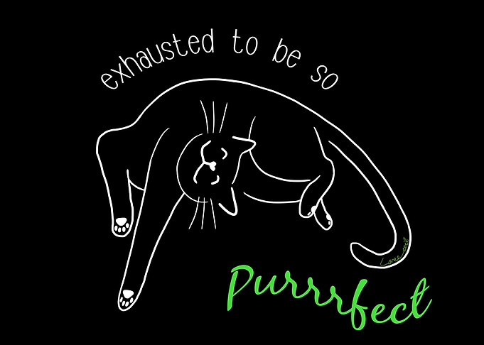 So Purrrfect