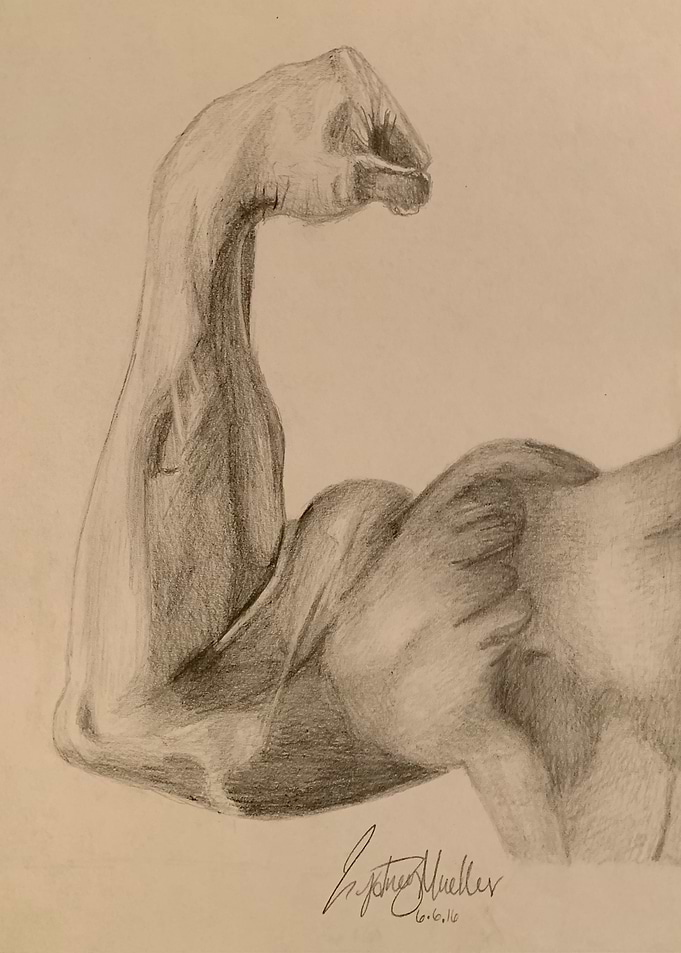 Beautiful Bicep