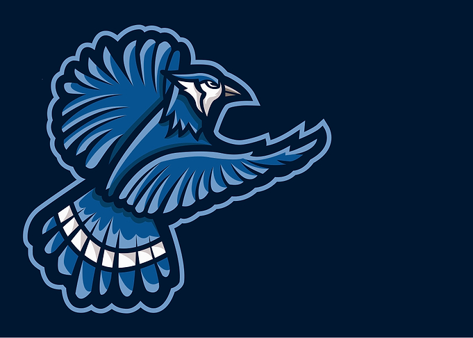 bird fly