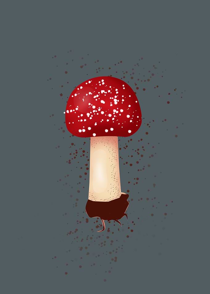 flora III