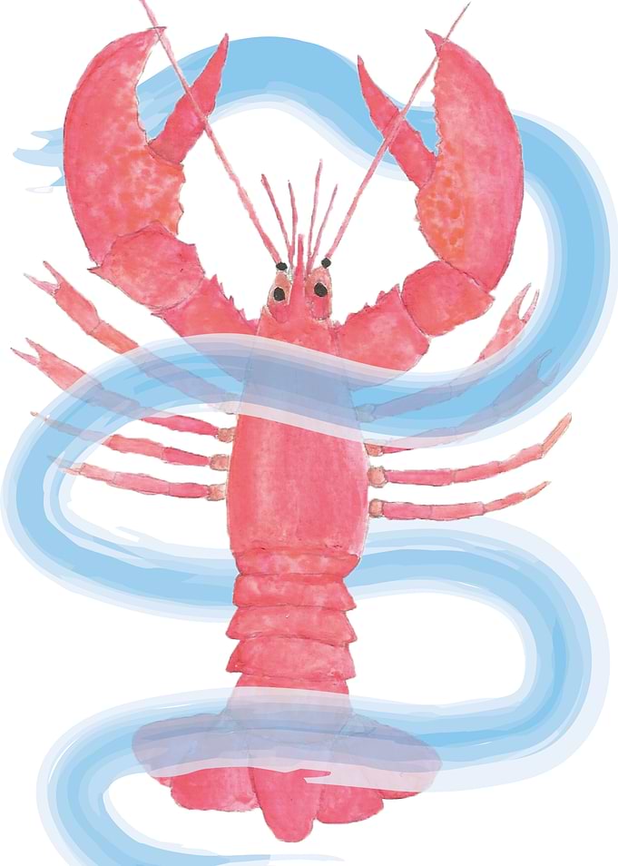 LOBSTER