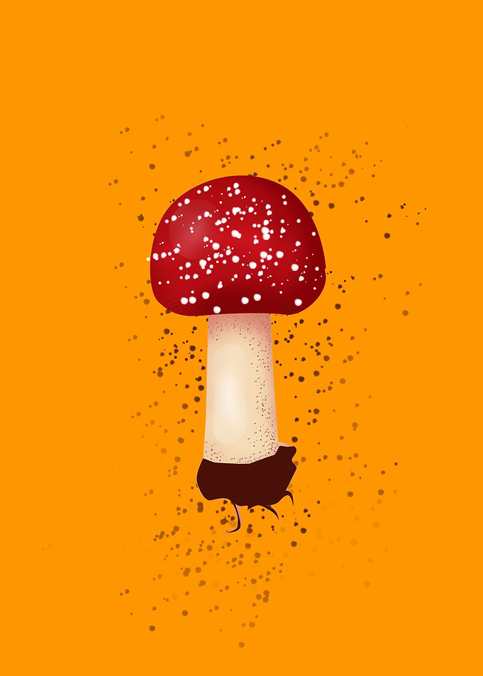 flora