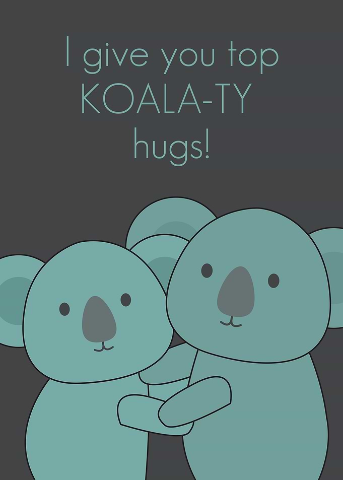 Top koala ty hugs