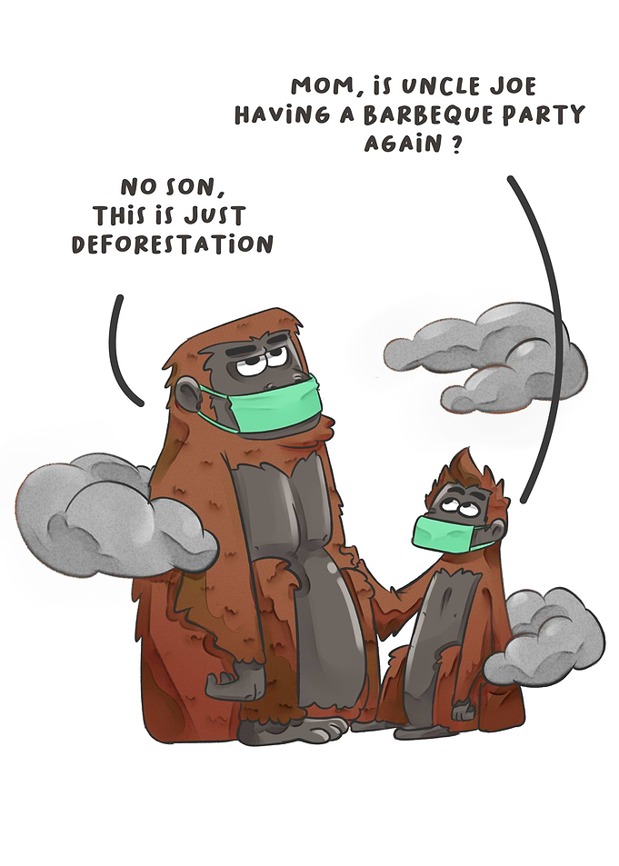 Orang Utan Smoke Problem