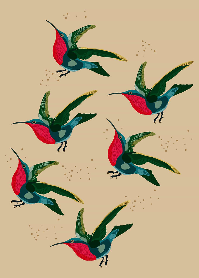 The Hummingbirds