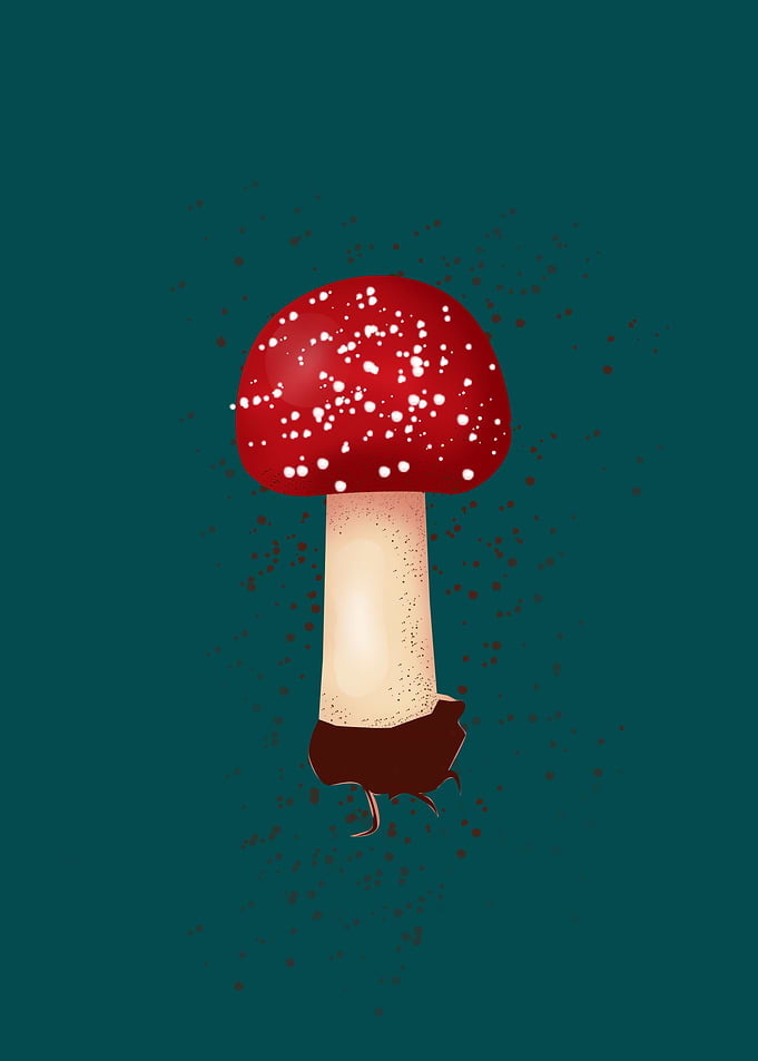 flora II