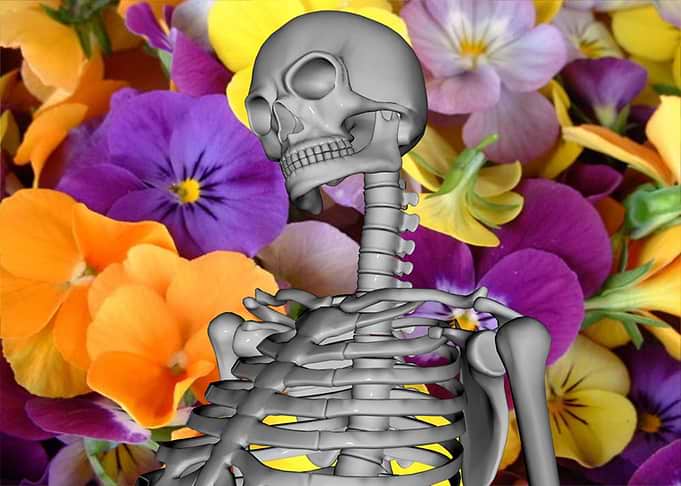 Skull with Flowers