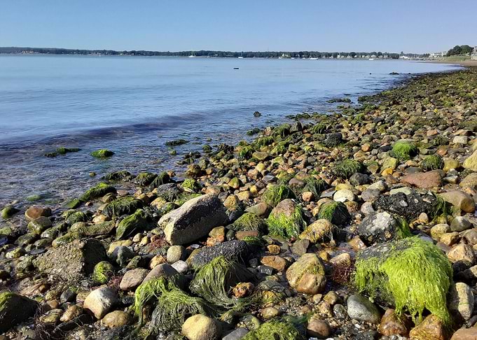 Shoreline