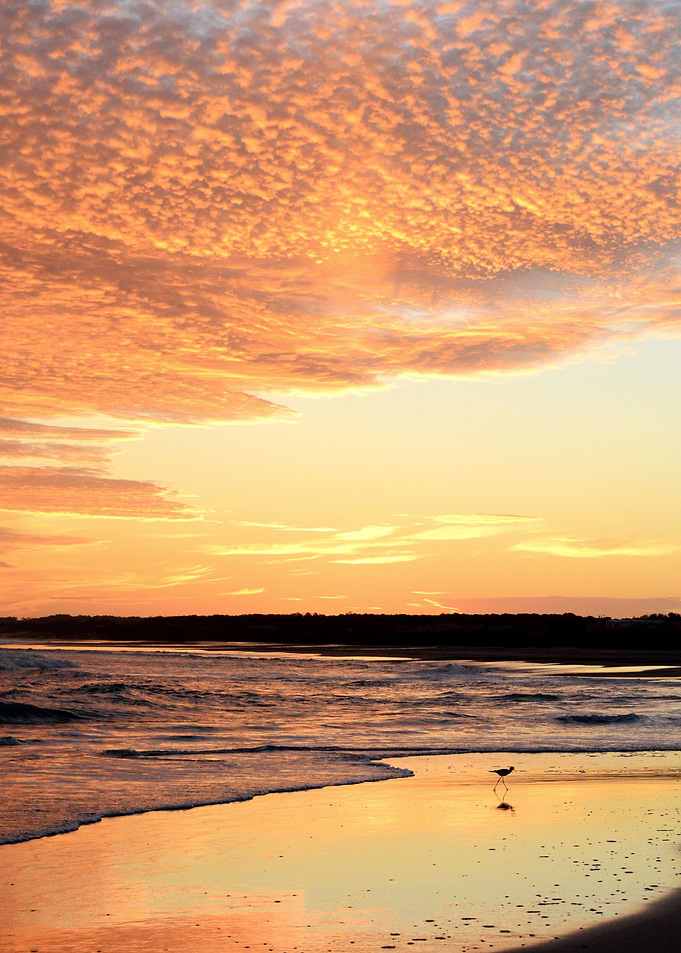 colorful sunset