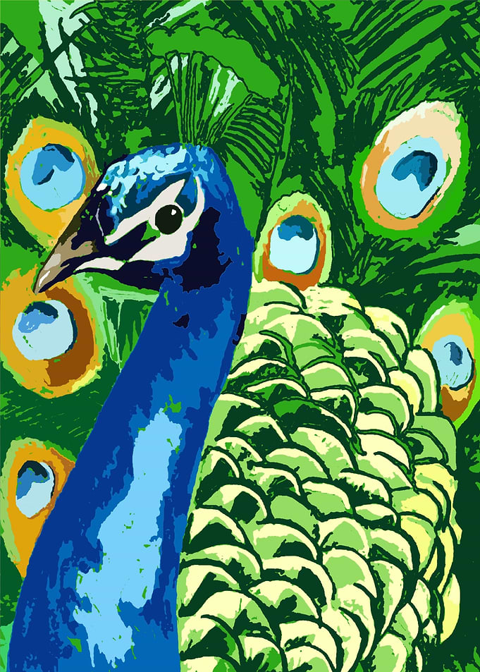 peacock