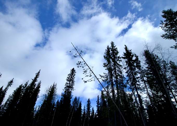 Lapland I