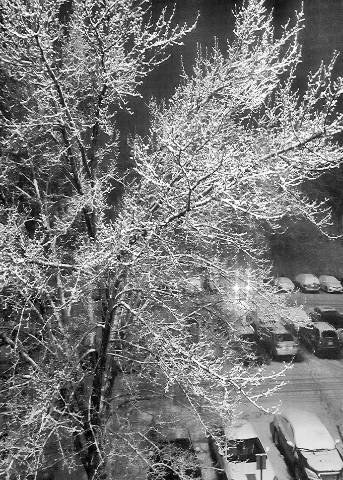 Snow Lot