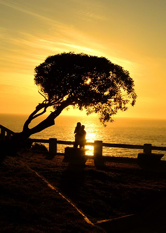 watching the sunset