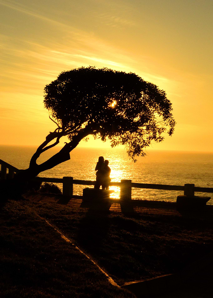 watching the sunset