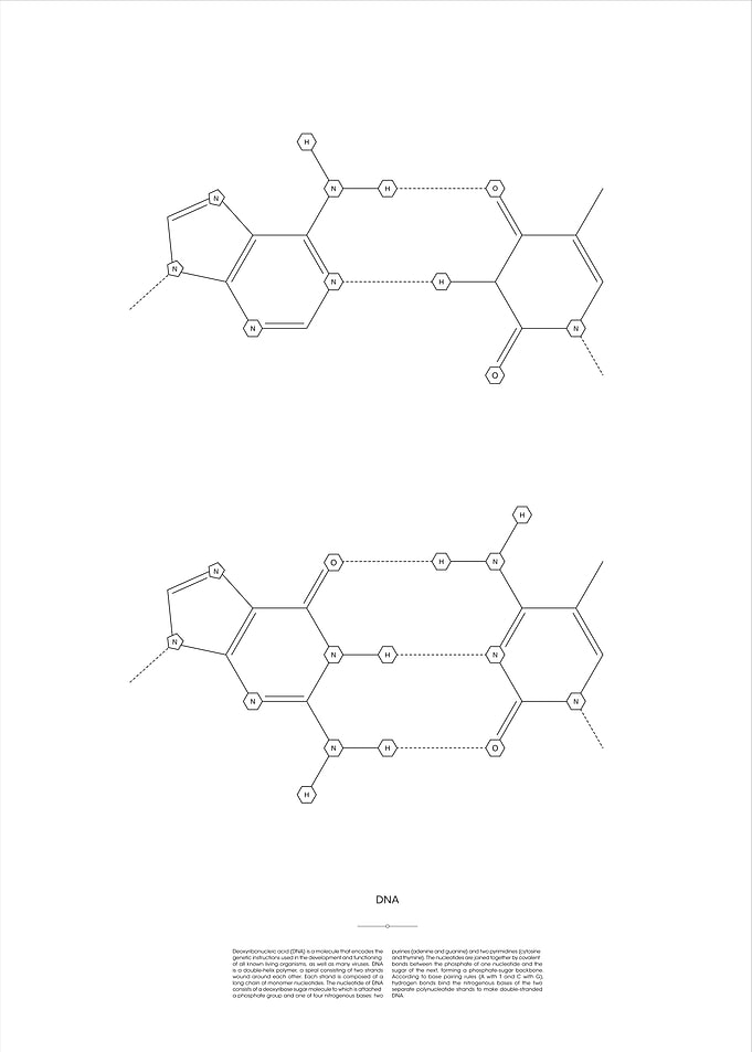 DNA