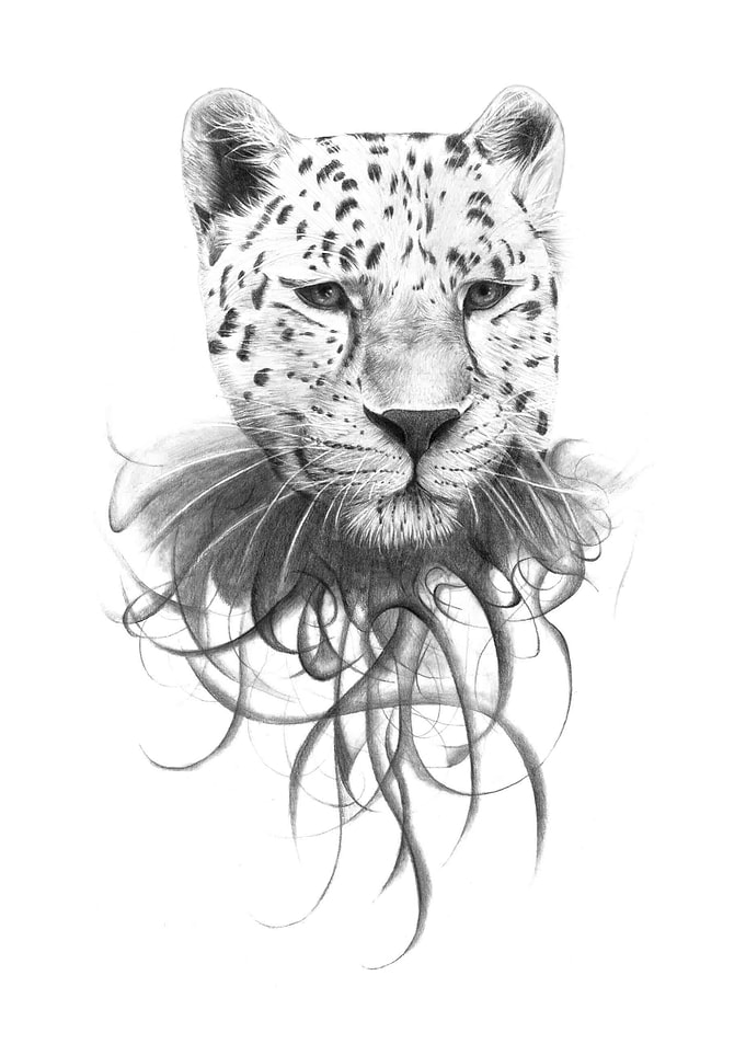 Amur Leopard