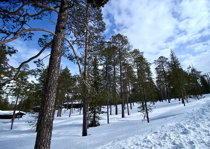 Lapland XII