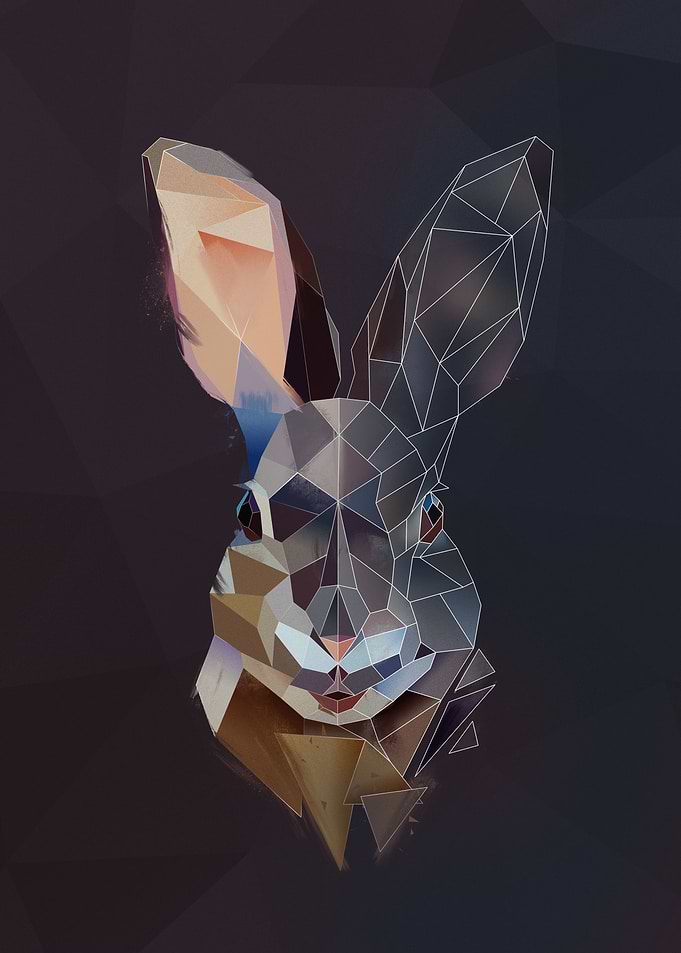 Mountain Rabbit