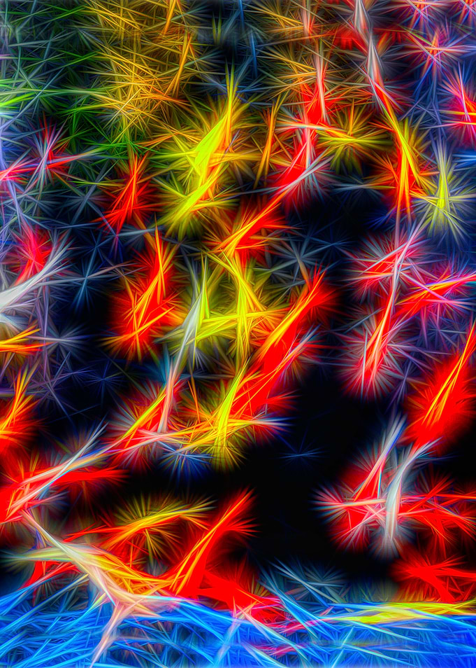 Fish abstract