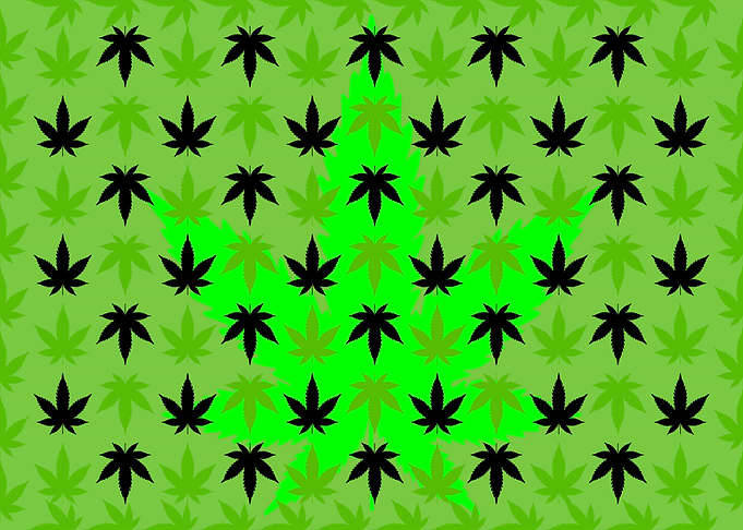 Marijuana Pattern Artwork