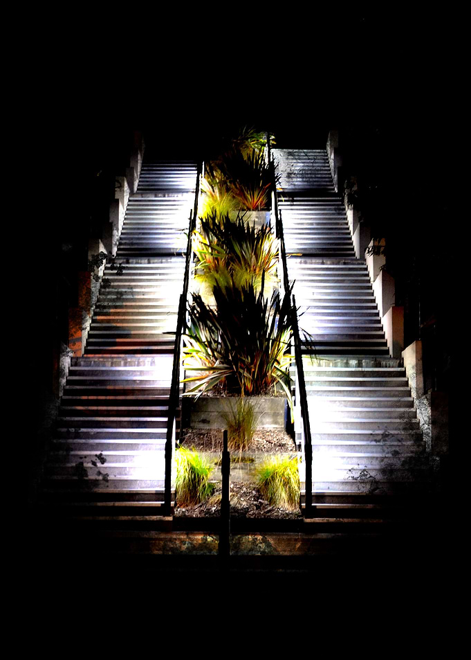 Light in the Dark
