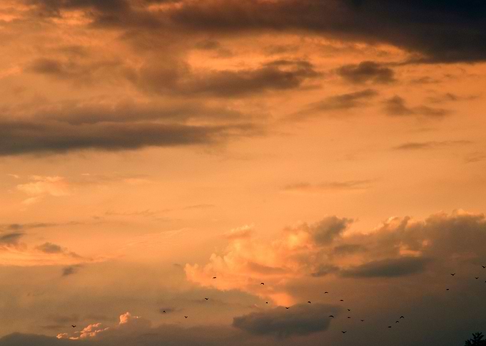 Golden Clouds
