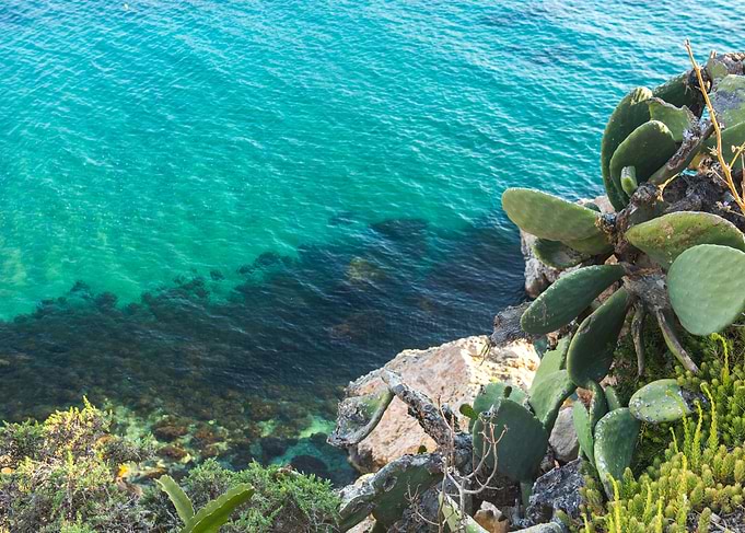 Golden Bay Malta