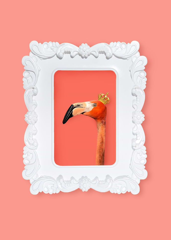 Royal Pink Flamingo