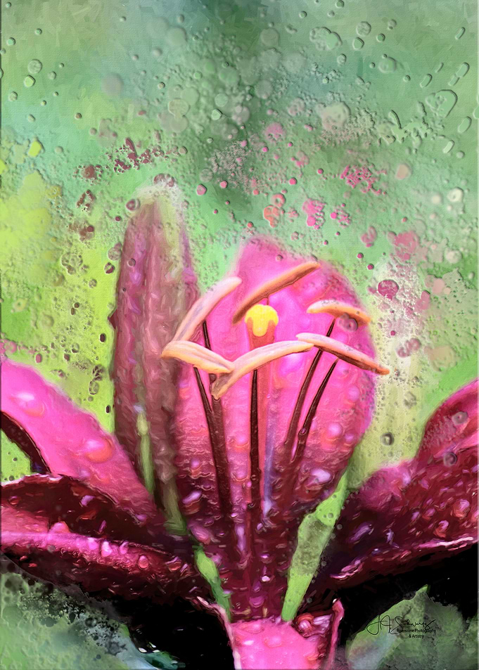 Lilly art