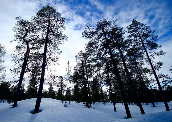 Lapland XI