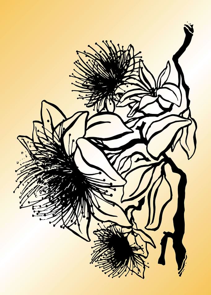 Chrysanthemum