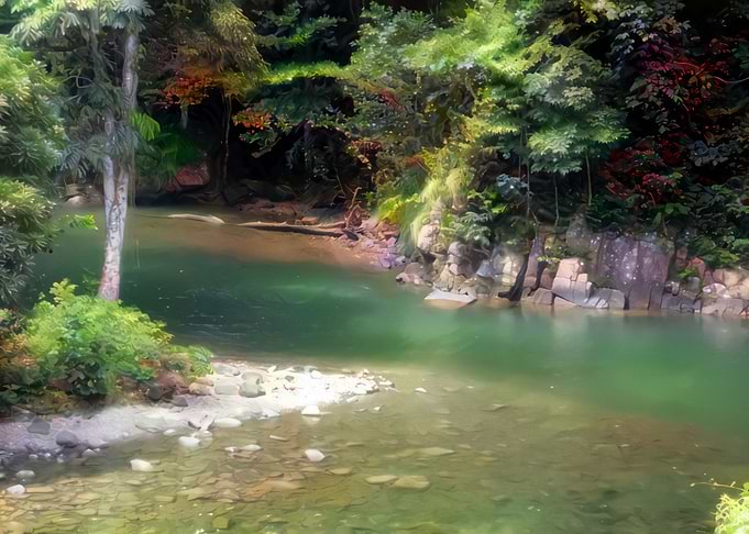 Shark River Matelot