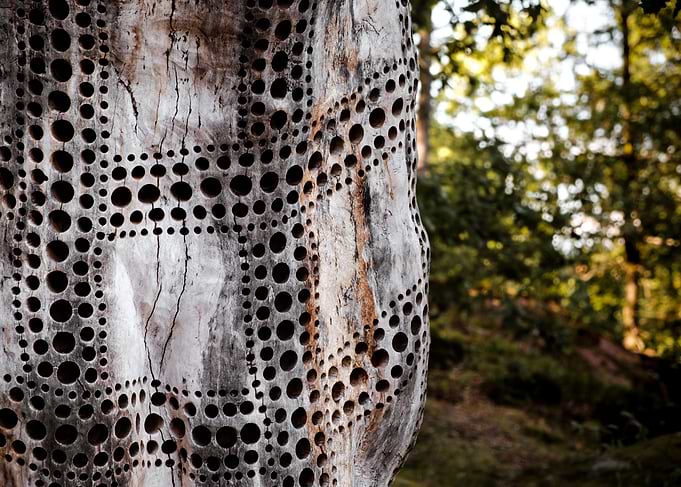 Tree Art