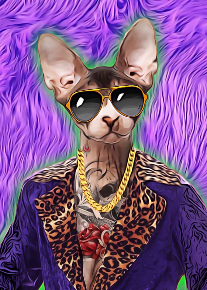 Pimp Cat