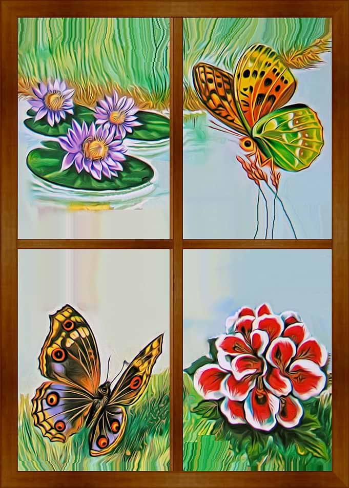 Window to the world 1