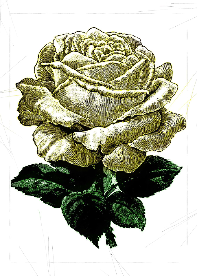 glory