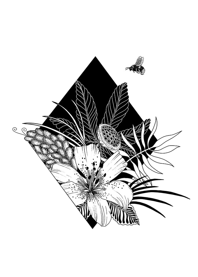 Bouquet in rhombus