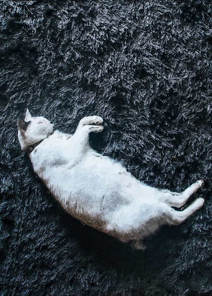 Cat sleeping painting