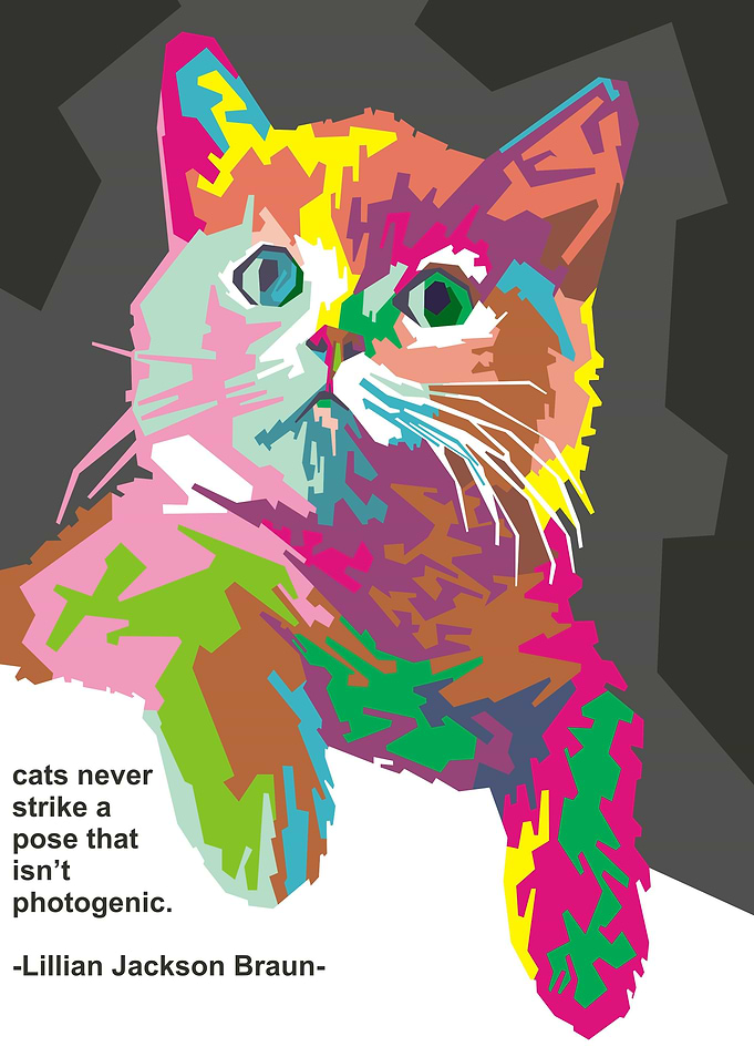 beautiful cat