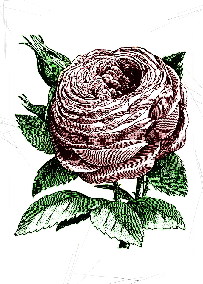 be mine