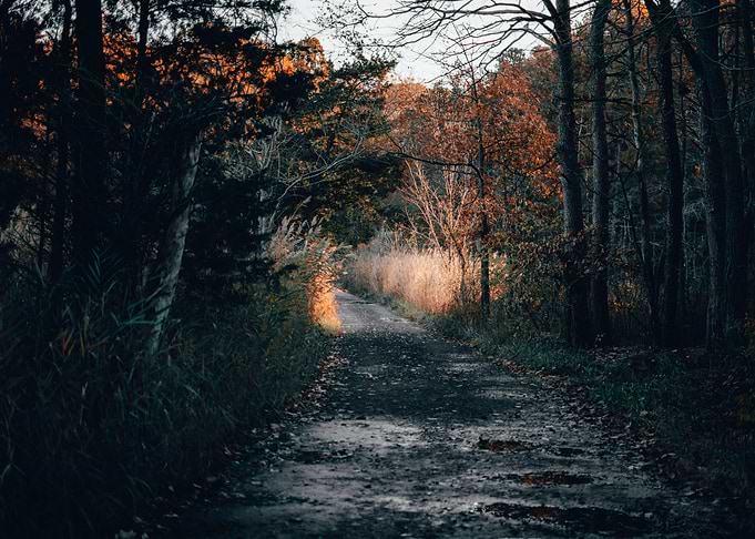 Light at the End