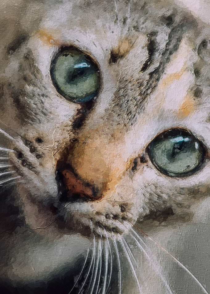 Starring cat painting